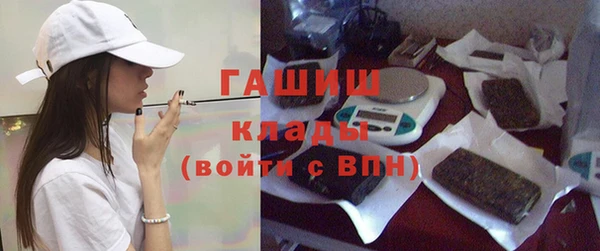 индика Алзамай