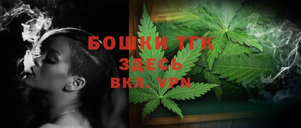 сатива Алексеевка