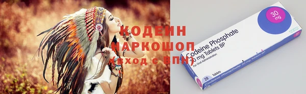 индика Алзамай