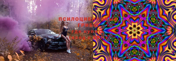 прущие крисы Аркадак