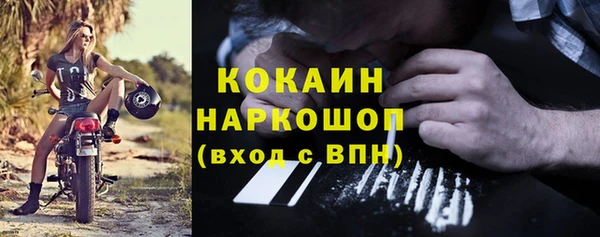 индика Алзамай
