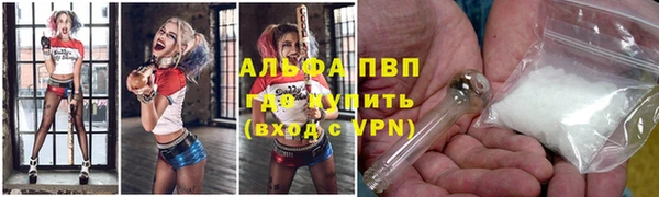 индика Алзамай